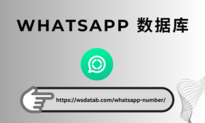 WhatsApp 号码
