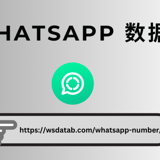 WhatsApp 号码