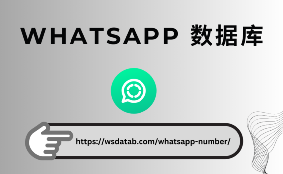 WhatsApp 号码