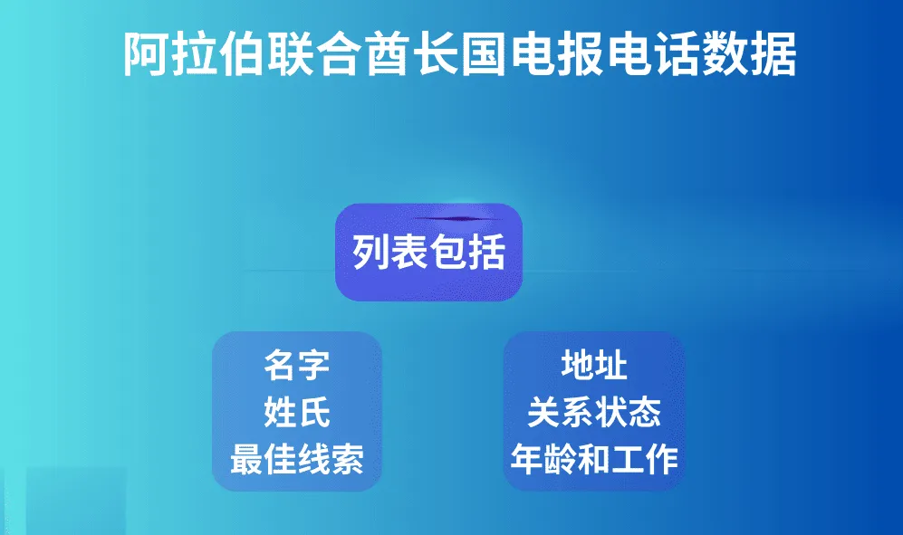 阿拉伯联合酋长国电报电话数据